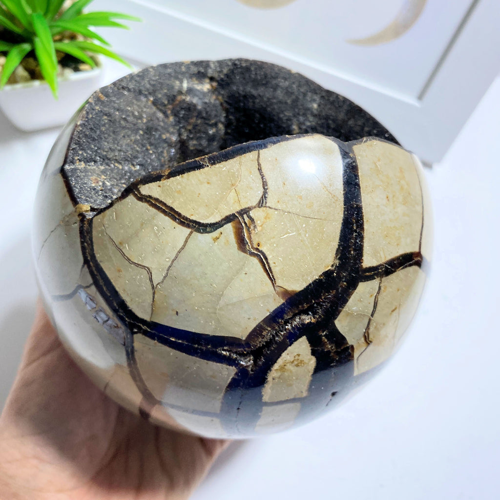 Jumbo 2.3 KG Septarian Dragon Sphere Display Specimen From Madagascar - Earth Family Crystals