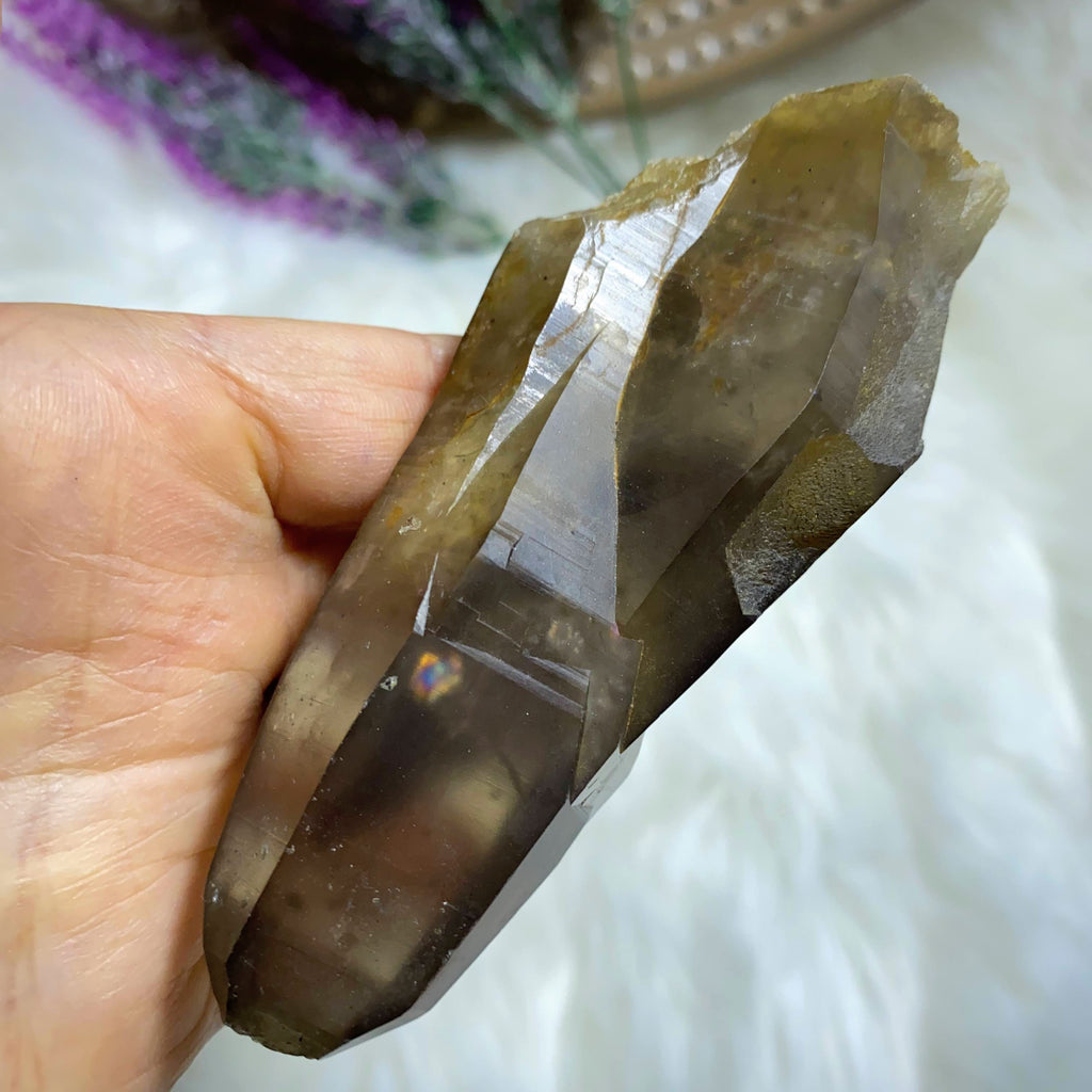 Record Keepers! Stunning Smoky Citrine Quartz Large Interwoven Point~ Locality: S. Africa - Earth Family Crystals