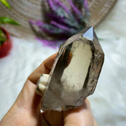 Fabulous High Grade Cathedral Smoky Quartz Point With Feldspar Inclusion~ Locality: S. Africa - Earth Family Crystals