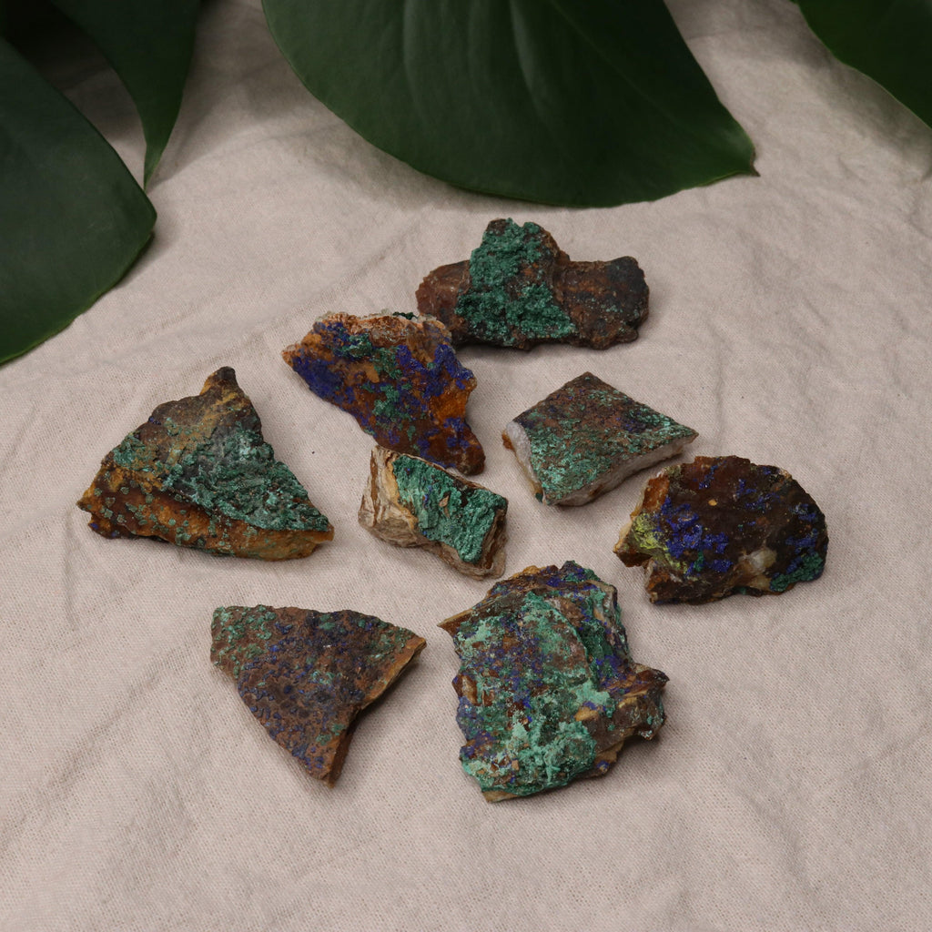 Rough Azurite and Malachite Specimen Set of 8 from Morocco - Earth Family Crystals