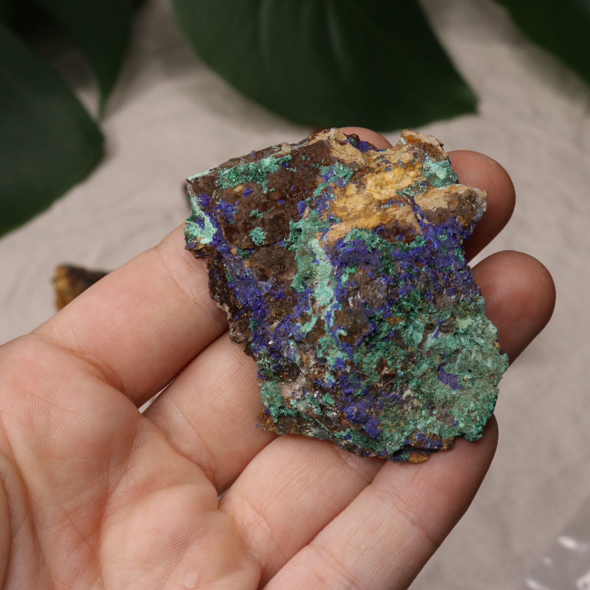 Rough Azurite and Malachite Specimen Set of 8 from Morocco - Earth Family Crystals