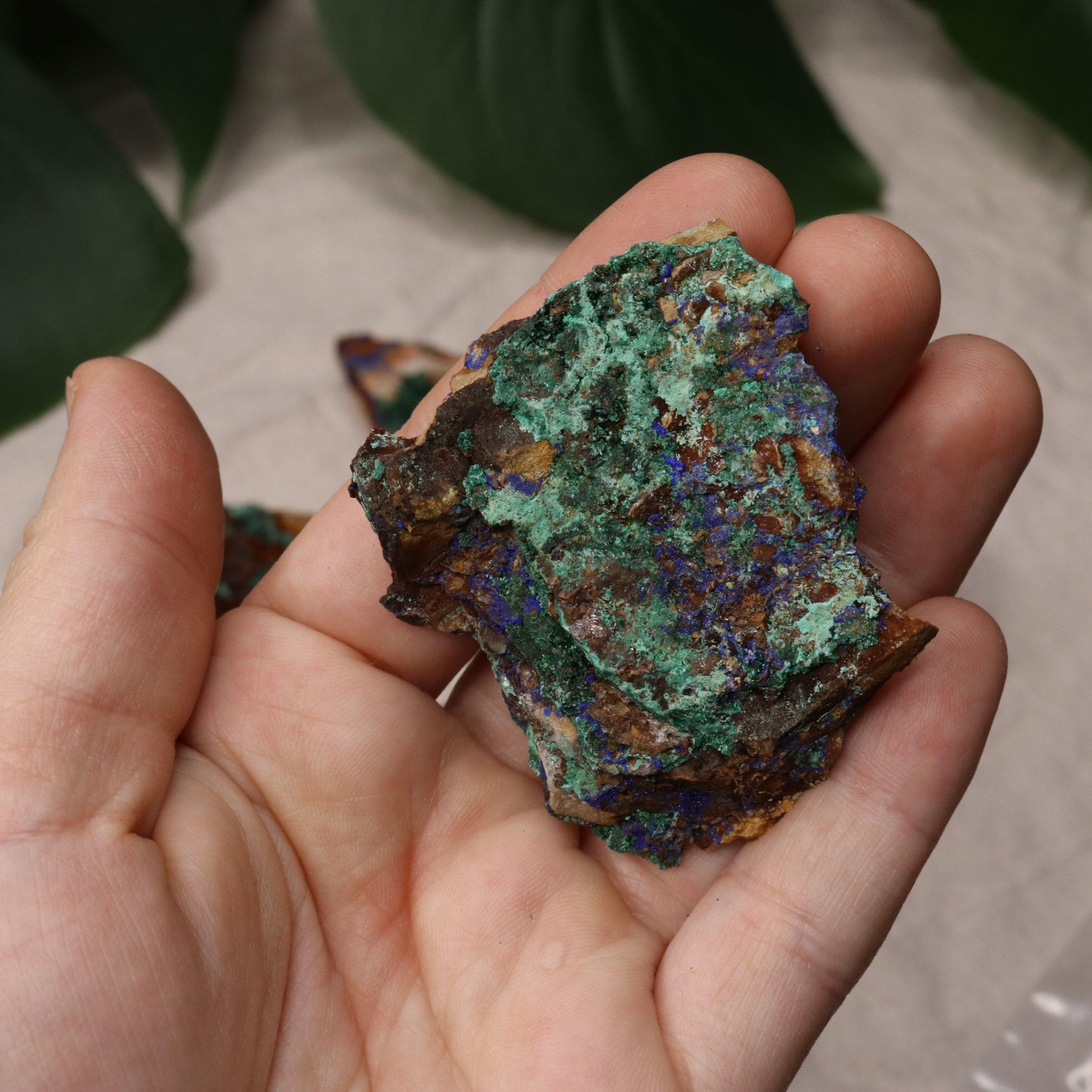 Rough Azurite and Malachite Specimen Set of 8 from Morocco - Earth Family Crystals