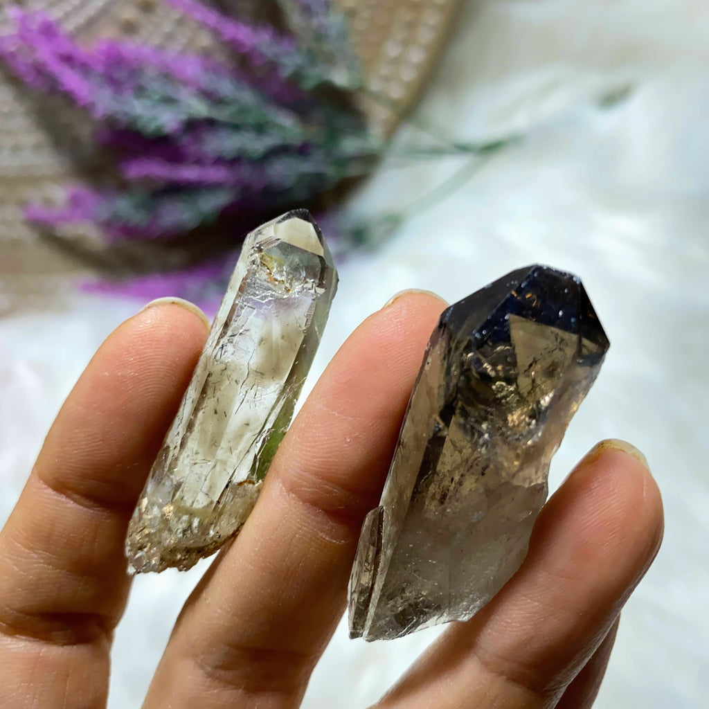 Set of 2 Beautiful Smoky Quartz Points ~ Locality: S. Africa - Earth Family Crystals