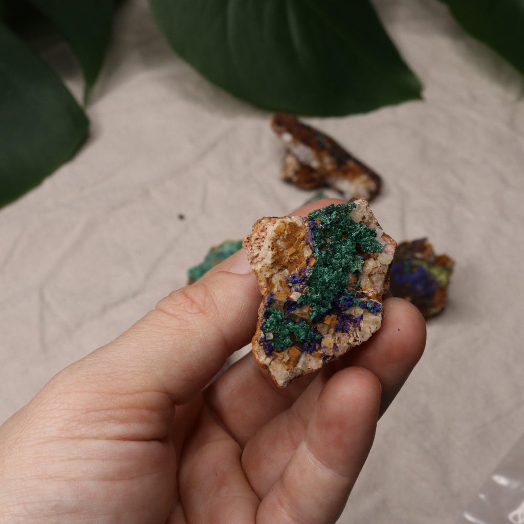 Rough Azurite and Malachite Specimen Set of 8 from Morocco - Earth Family Crystals