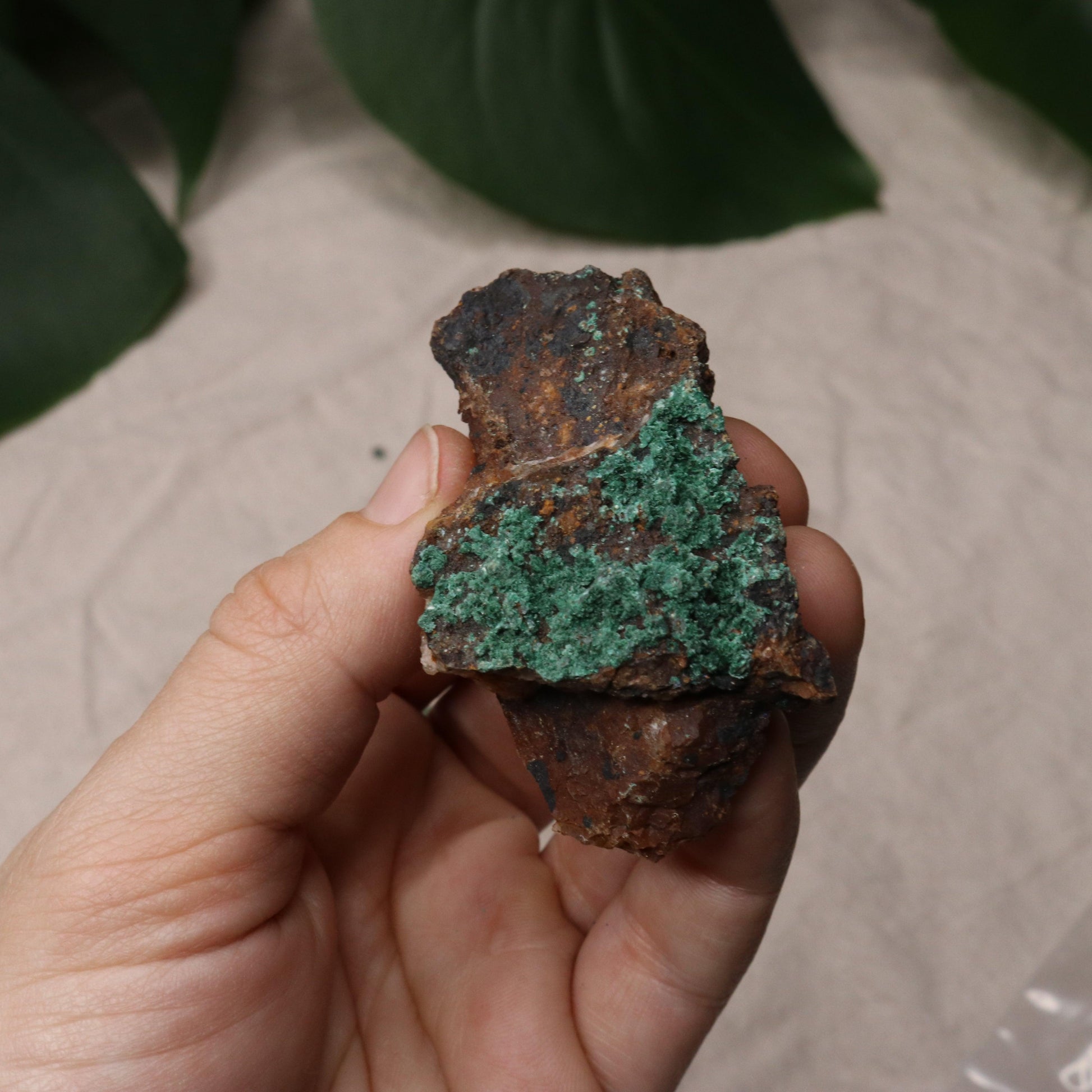 Rough Azurite and Malachite Specimen Set of 8 from Morocco - Earth Family Crystals