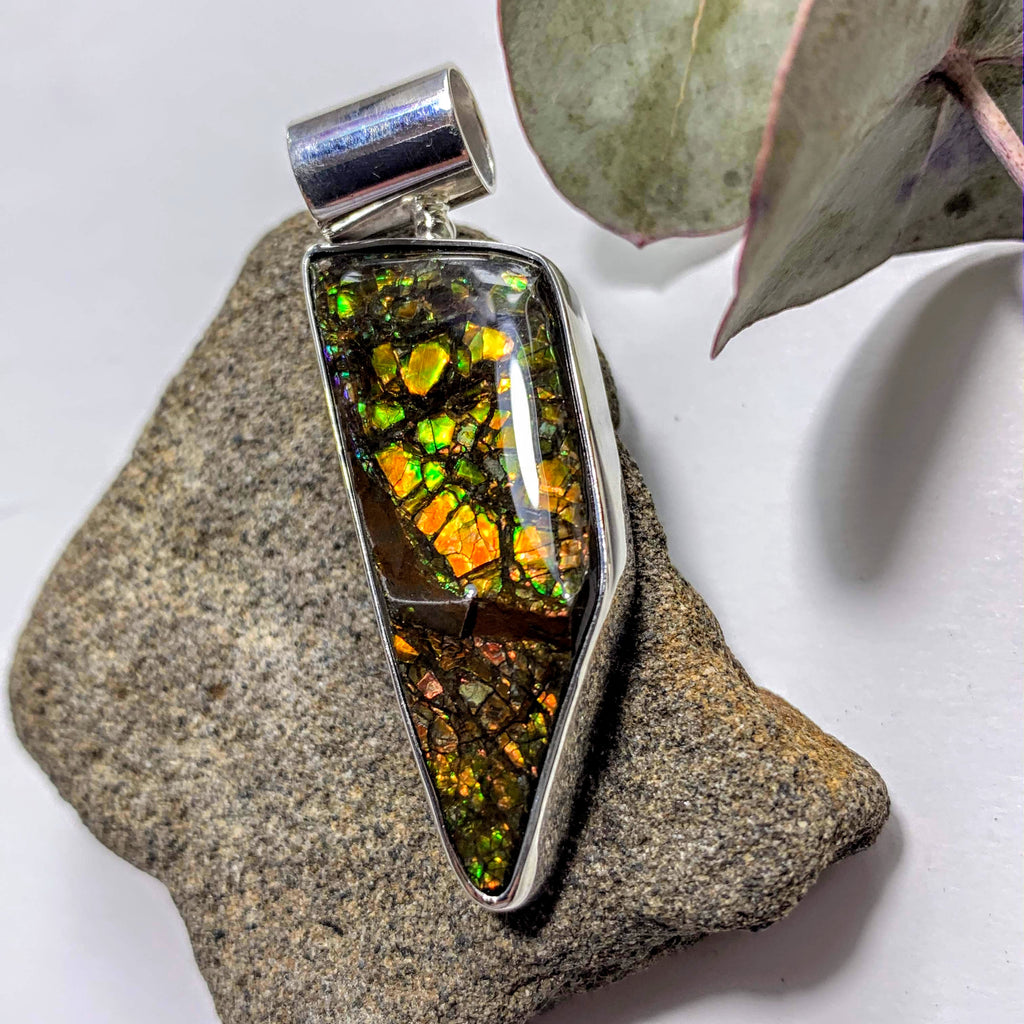 Gorgeous Flashy Genuine Alberta Ammolite Pendant in Sterling Silver (Includes Silver Chain) #2 - Earth Family Crystals
