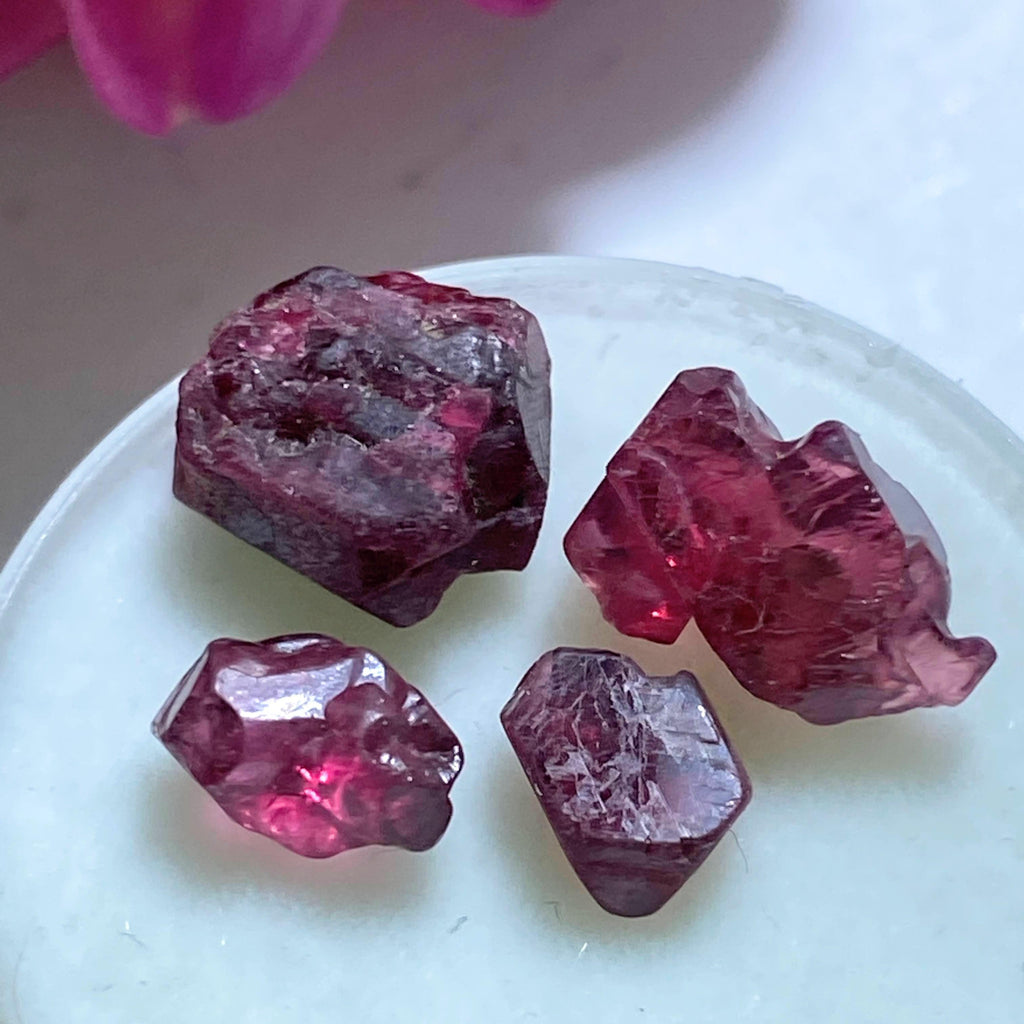 9CT Natural & Rare Gemmy Burgundy Spinel's In Collectors Box - Earth Family Crystals