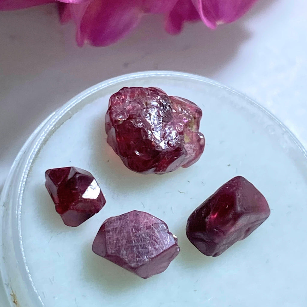 5.5CT Natural & Rare Gemmy Burgundy Spinel's In Collectors Box - Earth Family Crystals