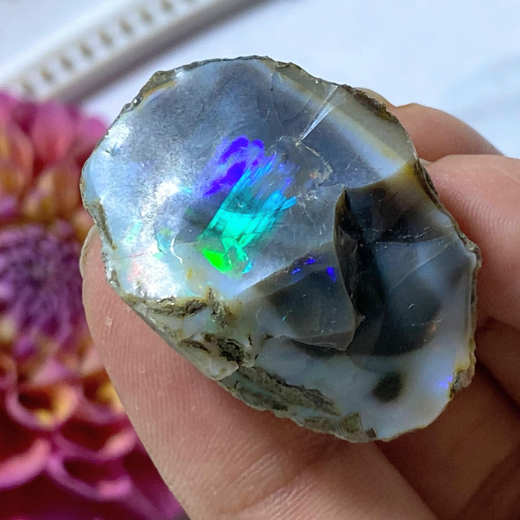 54CT High Grade Mega Flash! Black & White Natural Ethiopian Opal Collectors Specimen - Earth Family Crystals
