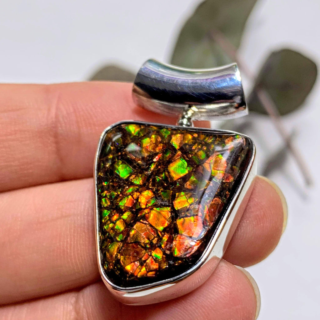 Gorgeous Flashy Genuine Alberta Ammolite Pendant in Sterling Silver (Includes Silver Chain) #3 - Earth Family Crystals