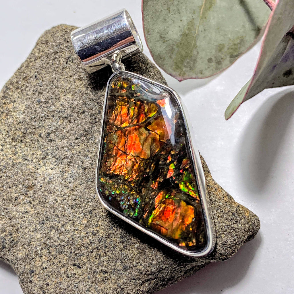 Gorgeous Flashy Genuine Alberta Ammolite Pendant in Sterling Silver (Includes Silver Chain) #4 - Earth Family Crystals