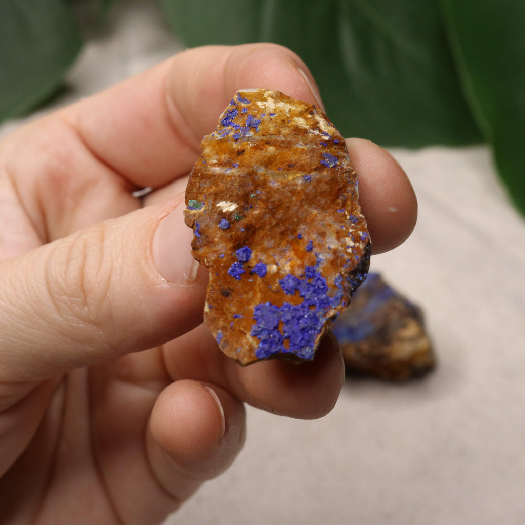 Rough Azurite and Malachite Specimen Set of 2 from Morocco - Earth Family Crystals