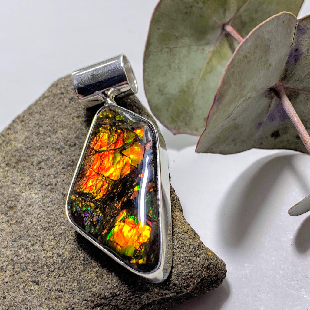 Gorgeous Flashy Genuine Alberta Ammolite Pendant in Sterling Silver (Includes Silver Chain) #4 - Earth Family Crystals