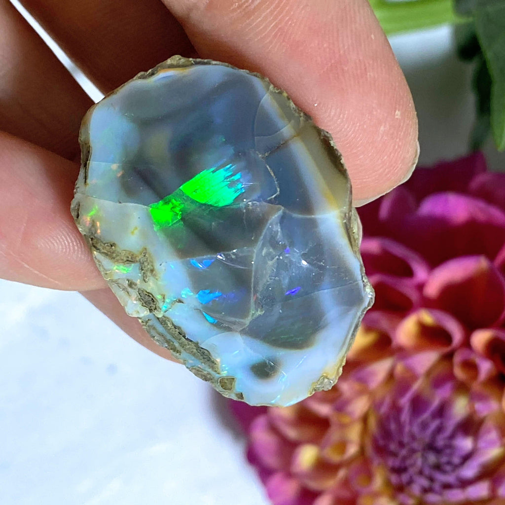 54CT High Grade Mega Flash! Black & White Natural Ethiopian Opal Collectors Specimen - Earth Family Crystals