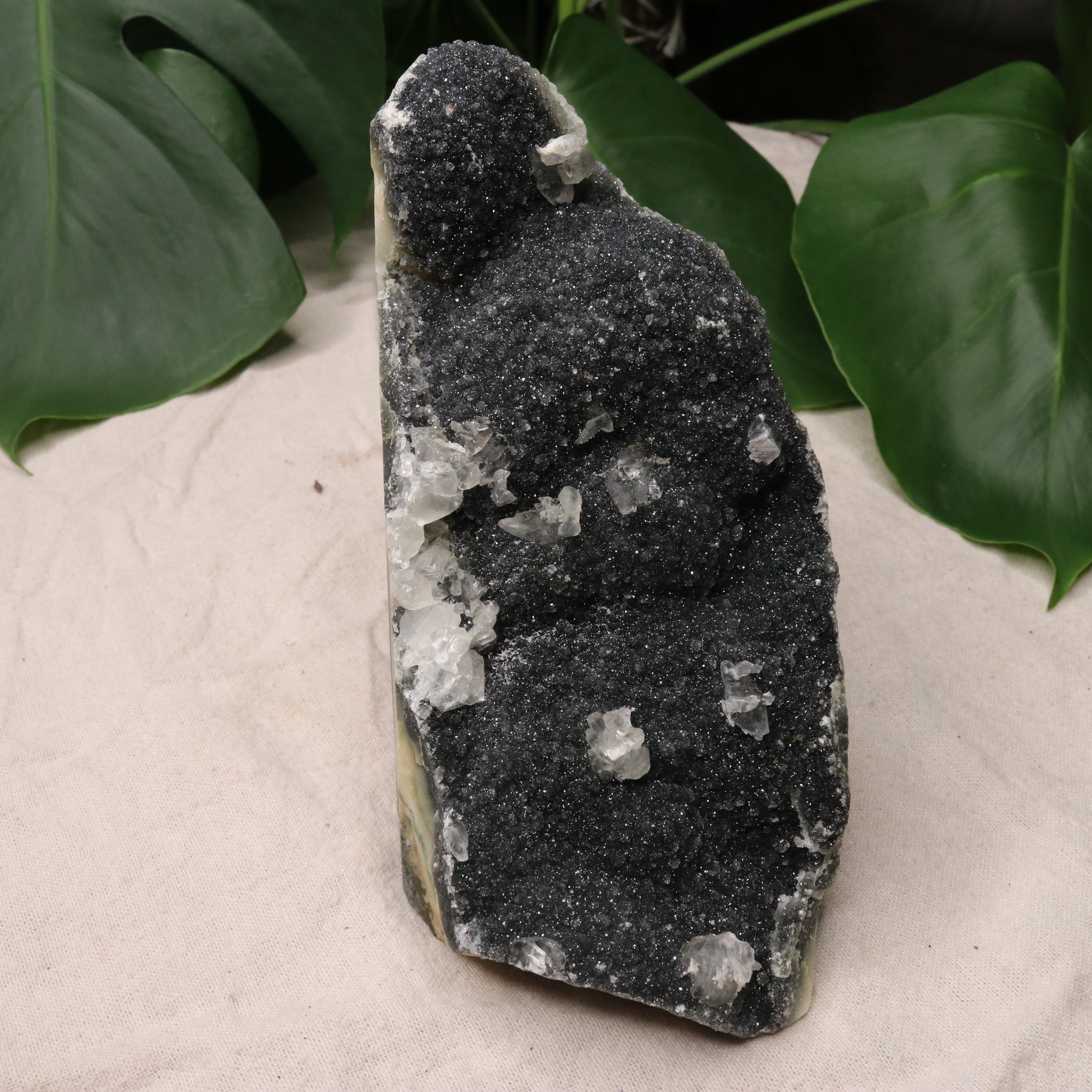 Luxe Deep Dark Amethyst Large Display Specimen from Uruguay with Micro-Druze and Calcite Inclusions - Earth Family Crystals