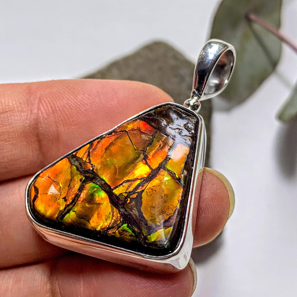 Gorgeous Flashy Genuine Alberta Ammolite Pendant in Sterling Silver (Includes Silver Chain) #5 - Earth Family Crystals