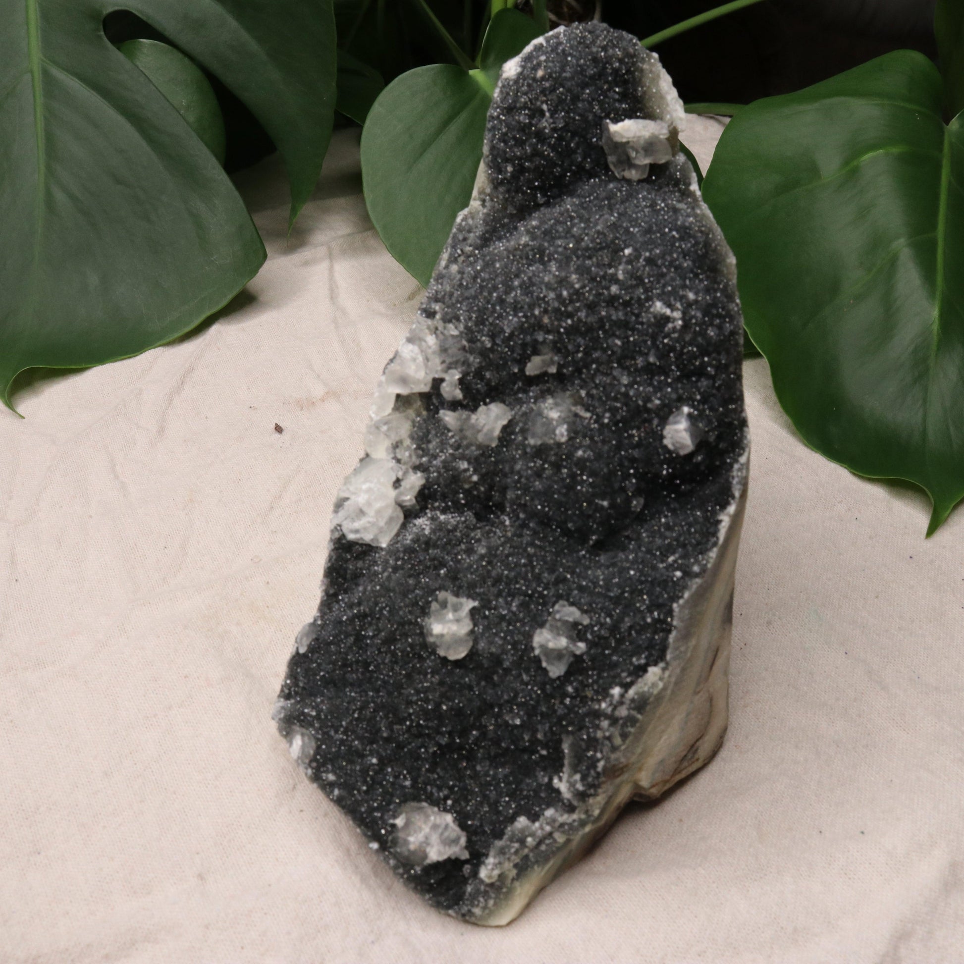 Luxe Deep Dark Amethyst Large Display Specimen from Uruguay with Micro-Druze and Calcite Inclusions - Earth Family Crystals