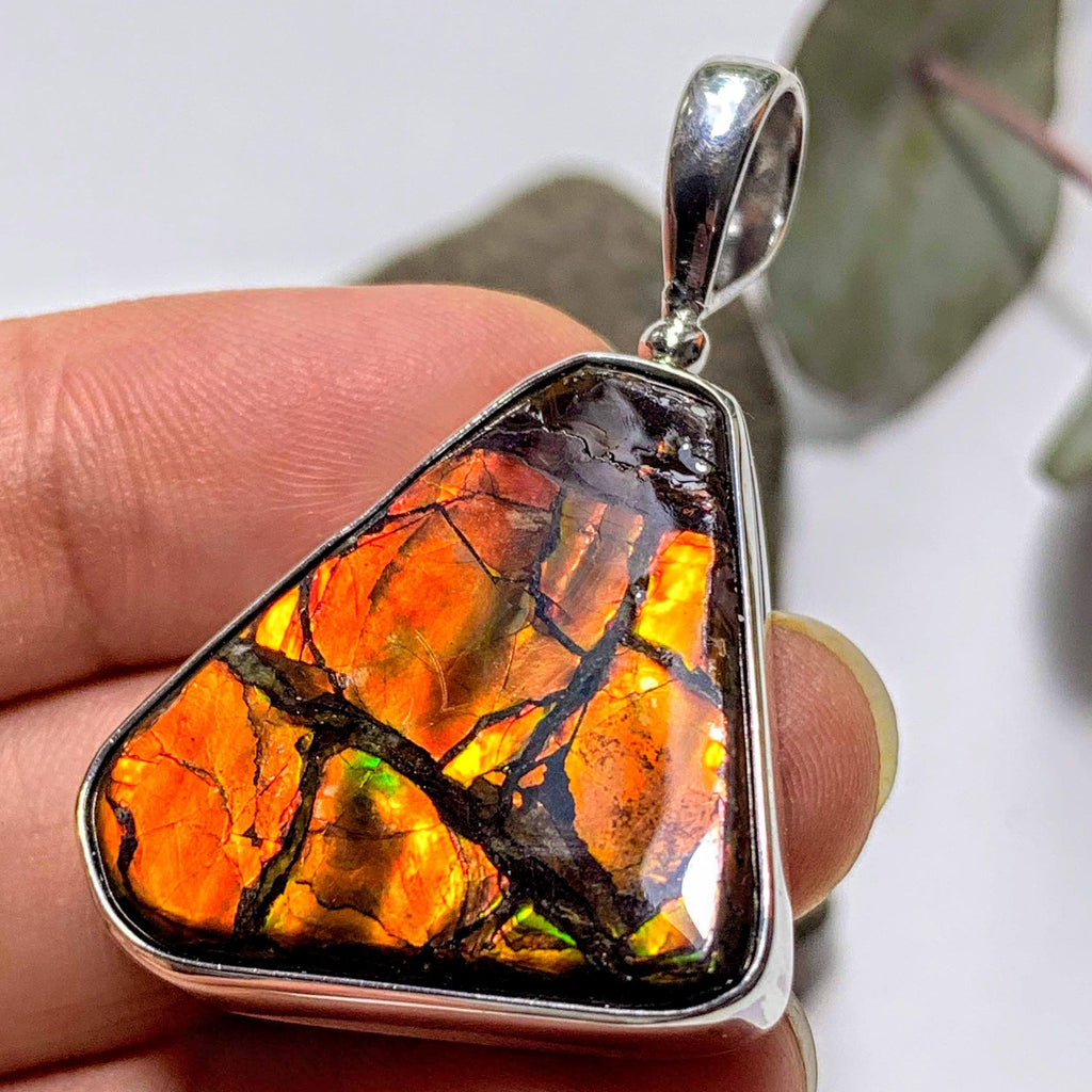 Gorgeous Flashy Genuine Alberta Ammolite Pendant in Sterling Silver (Includes Silver Chain) #5 - Earth Family Crystals
