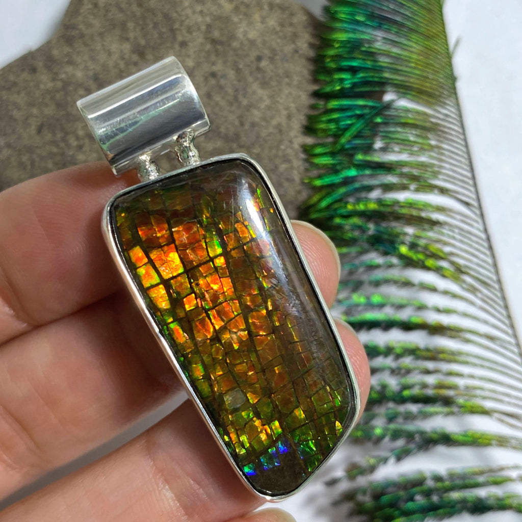 Chunky Ammolite Pendant in Sterling Silver (Includes Silver Chain) #2 - Earth Family Crystals