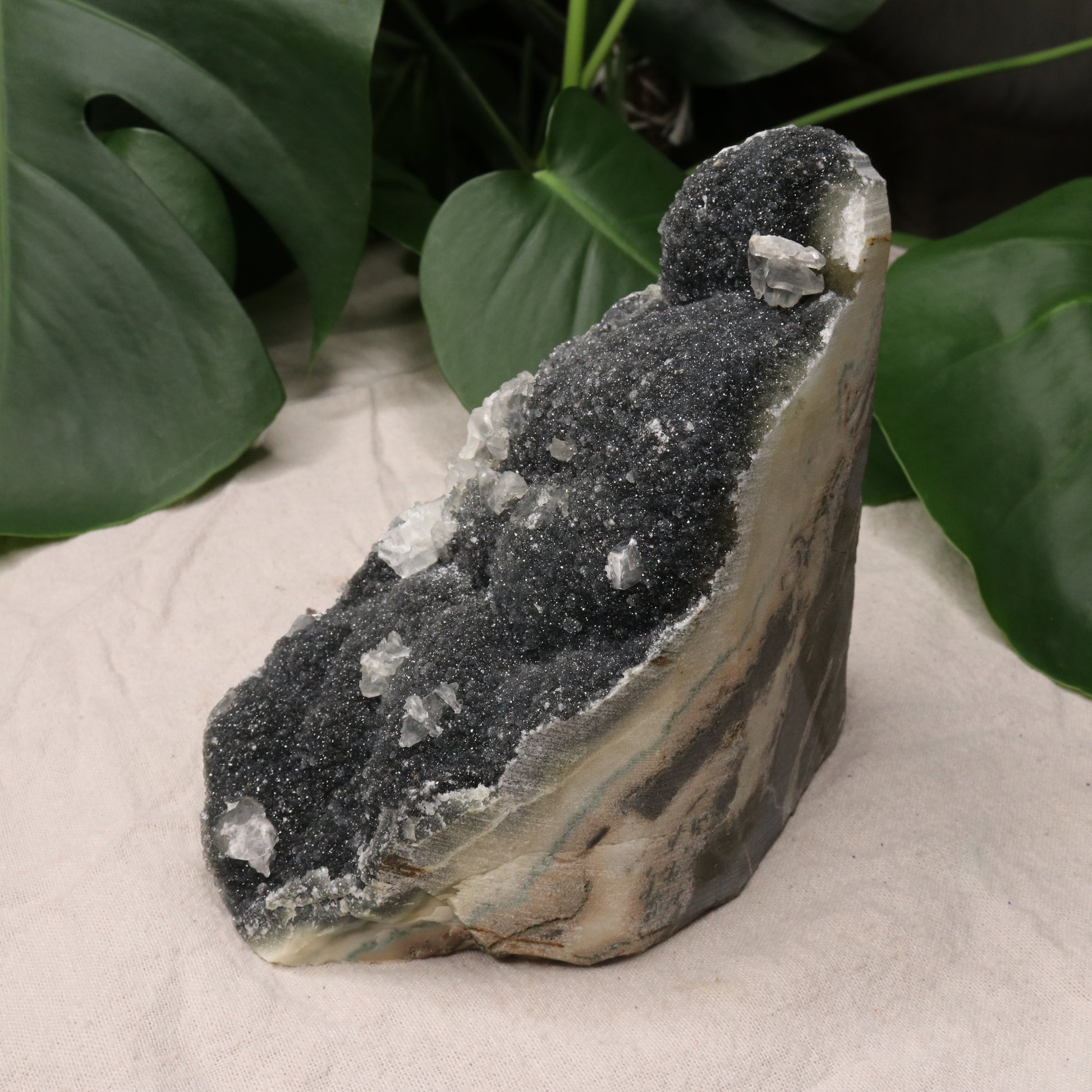 Luxe Deep Dark Amethyst Large Display Specimen from Uruguay with Micro-Druze and Calcite Inclusions - Earth Family Crystals