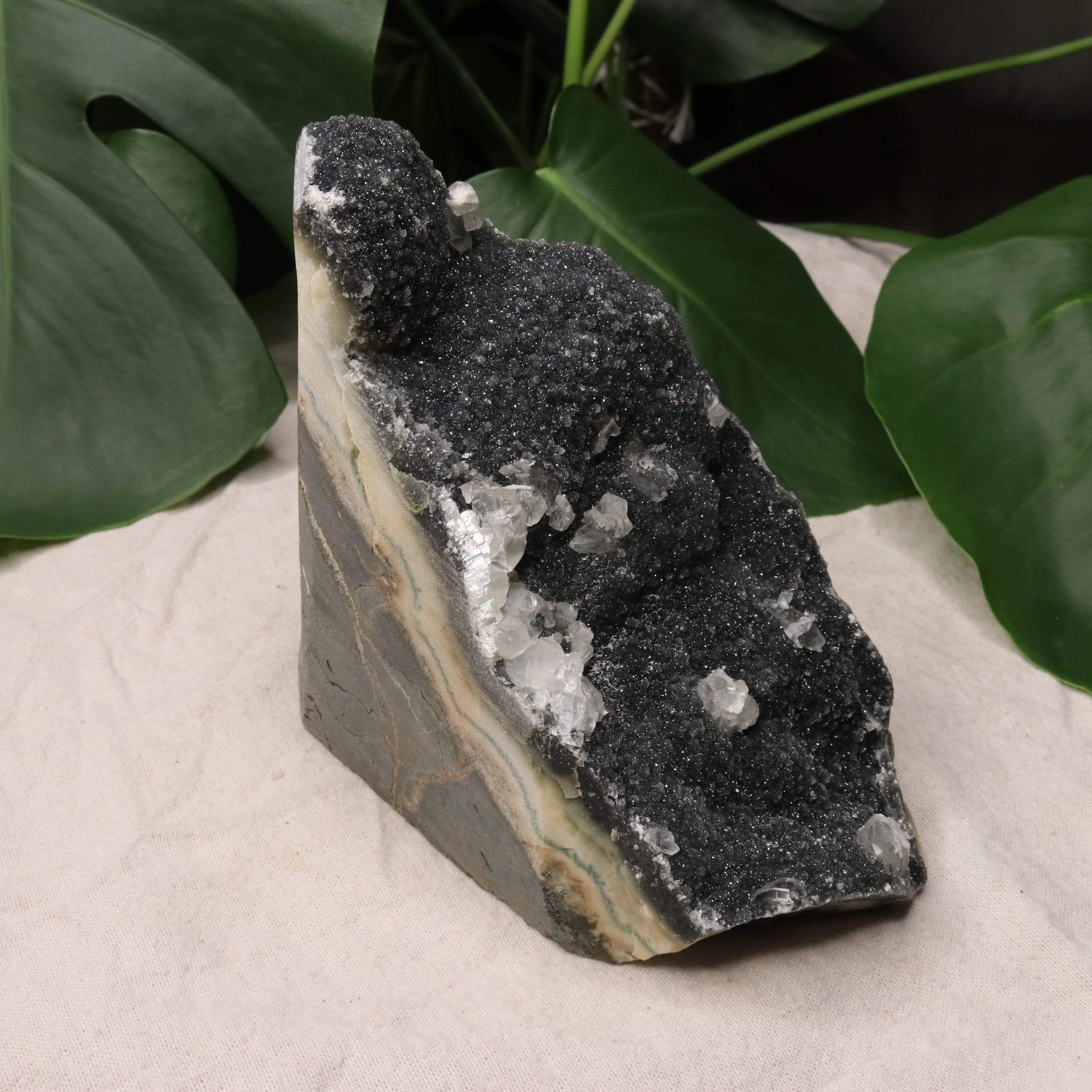 Luxe Deep Dark Amethyst Large Display Specimen from Uruguay with Micro-Druze and Calcite Inclusions - Earth Family Crystals