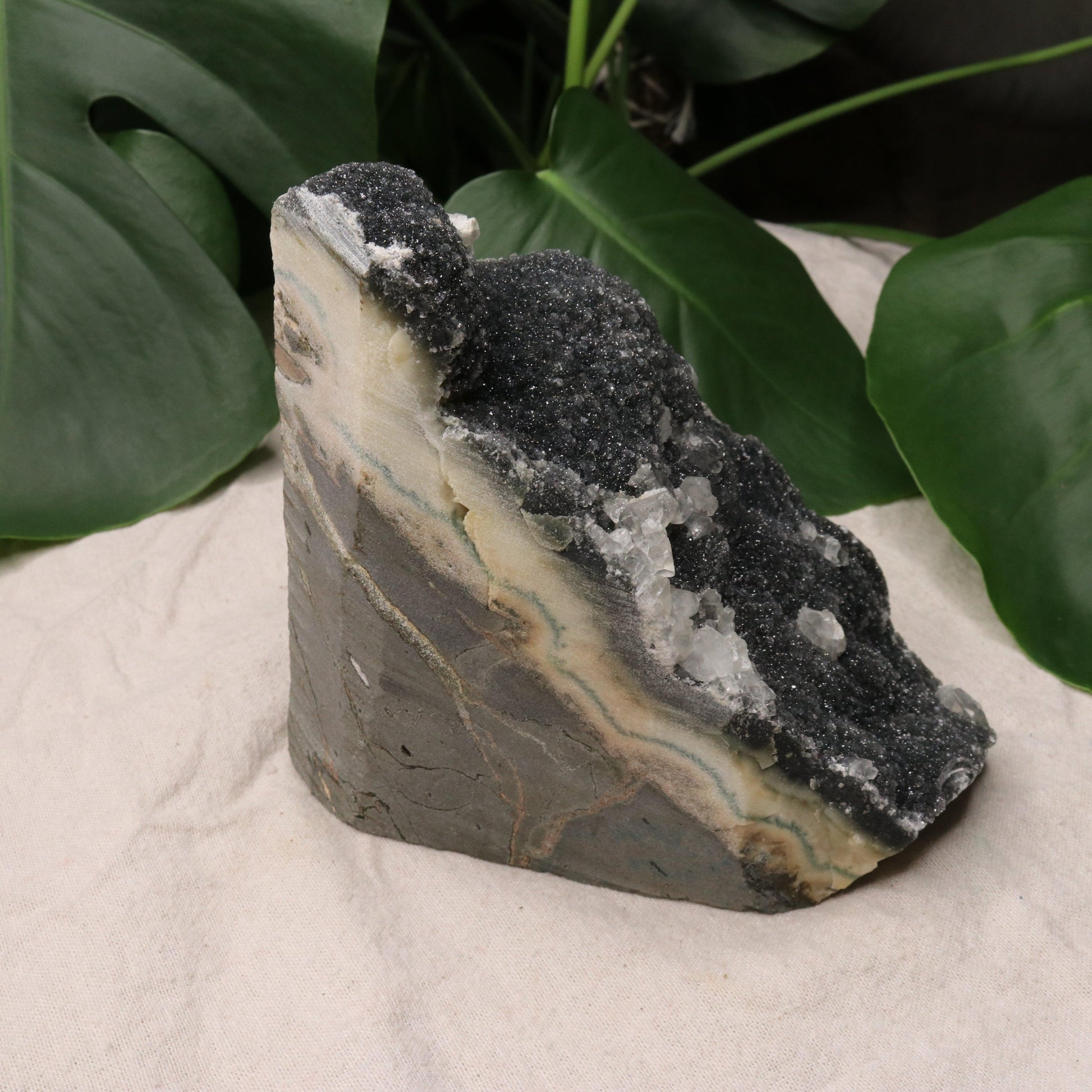 Luxe Deep Dark Amethyst Large Display Specimen from Uruguay with Micro-Druze and Calcite Inclusions - Earth Family Crystals