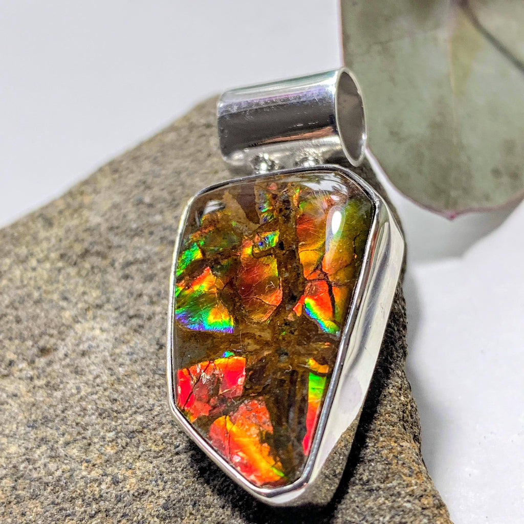 Gorgeous Flashy Genuine Alberta Ammolite Pendant in Sterling Silver (Includes Silver Chain) #6 - Earth Family Crystals