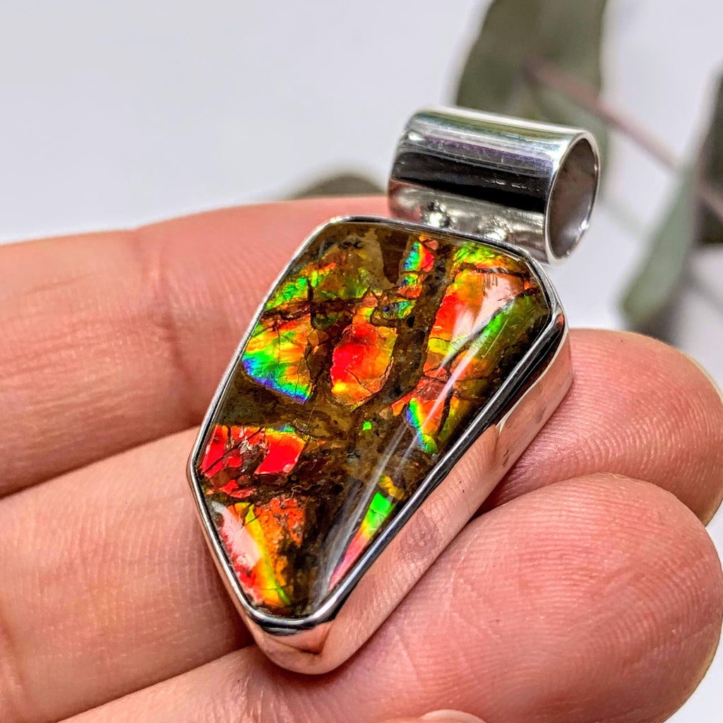 Gorgeous Flashy Genuine Alberta Ammolite Pendant in Sterling Silver (Includes Silver Chain) #6 - Earth Family Crystals