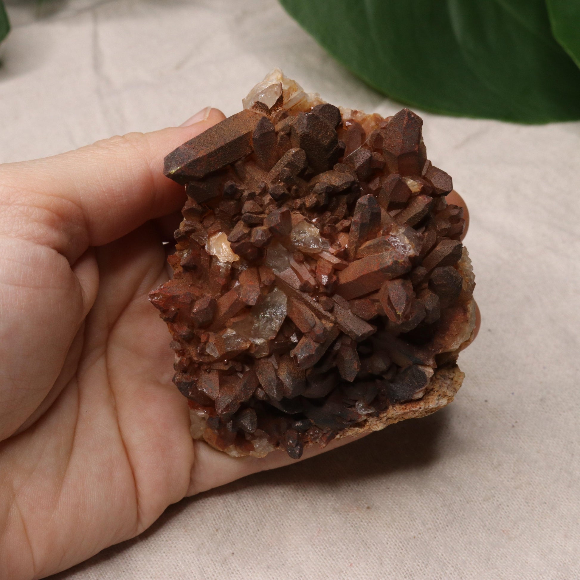 Gorgeous Specimen~ Hematoid Quartz Cluster from Madagascar~ Fire Quartz for Chakra Balancing - Earth Family Crystals