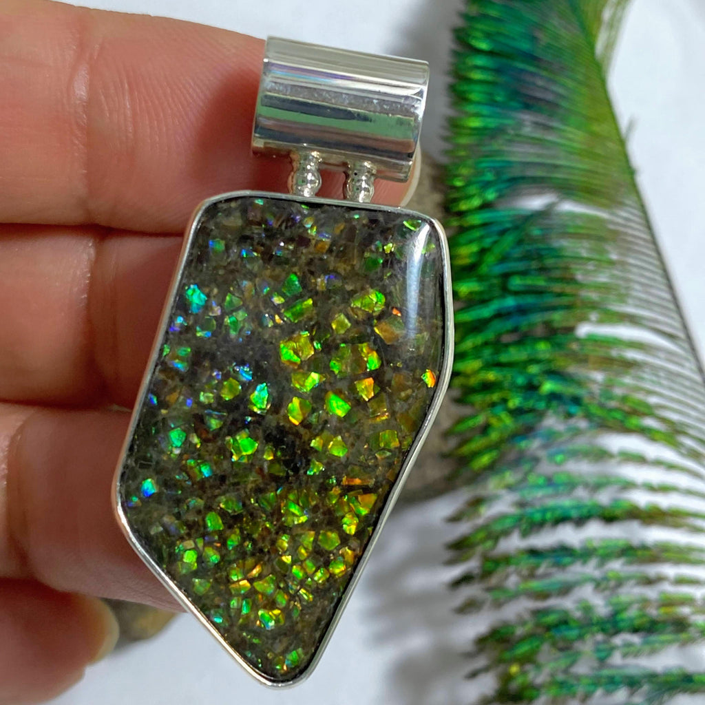Chunky Ammolite Pendant in Sterling Silver (Includes Silver Chain) #1 - Earth Family Crystals