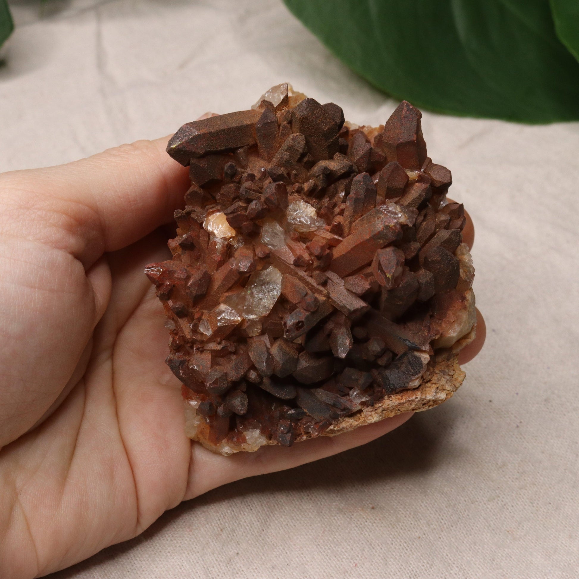 Gorgeous Specimen~ Hematoid Quartz Cluster from Madagascar~ Fire Quartz for Chakra Balancing - Earth Family Crystals