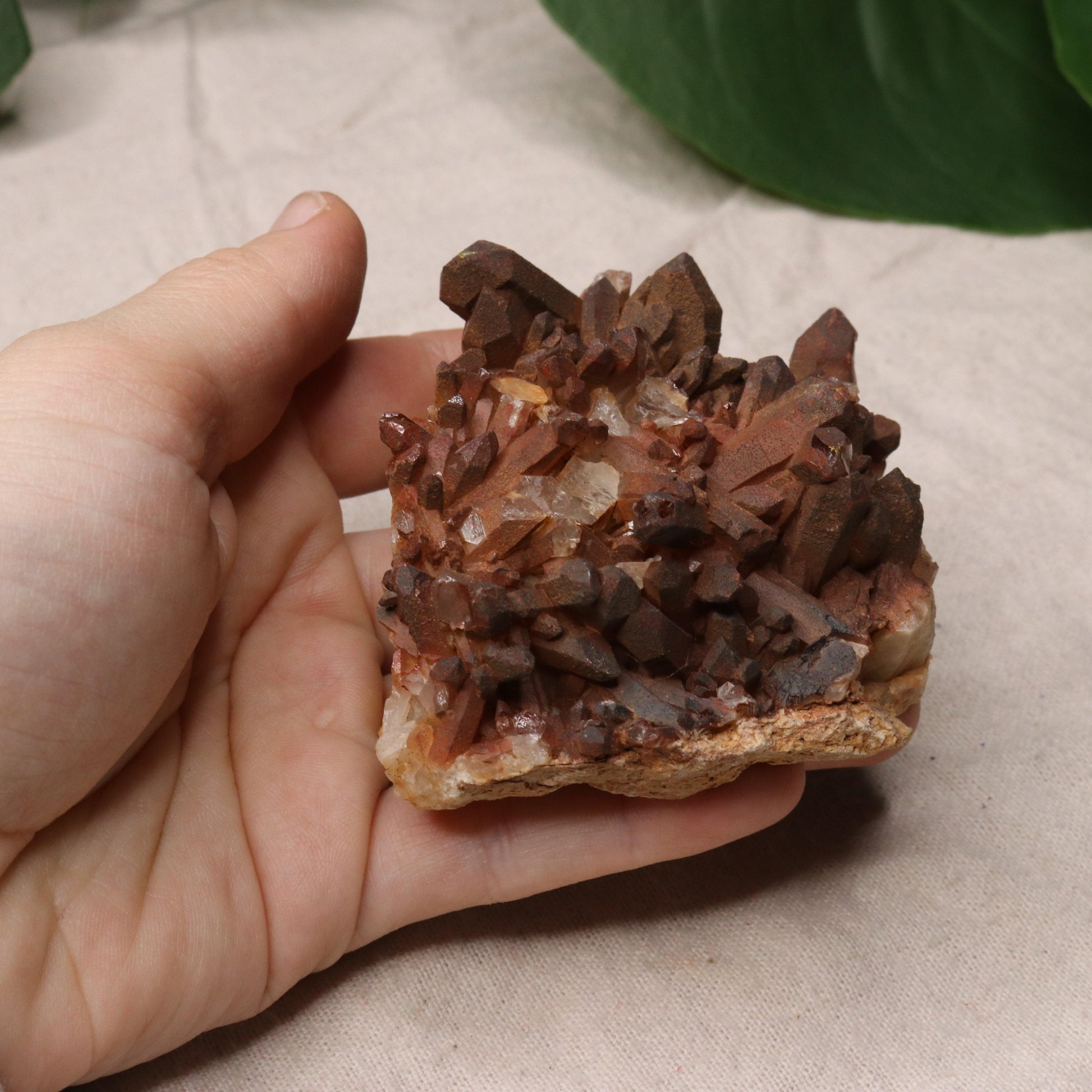 Gorgeous Specimen~ Hematoid Quartz Cluster from Madagascar~ Fire Quartz for Chakra Balancing - Earth Family Crystals