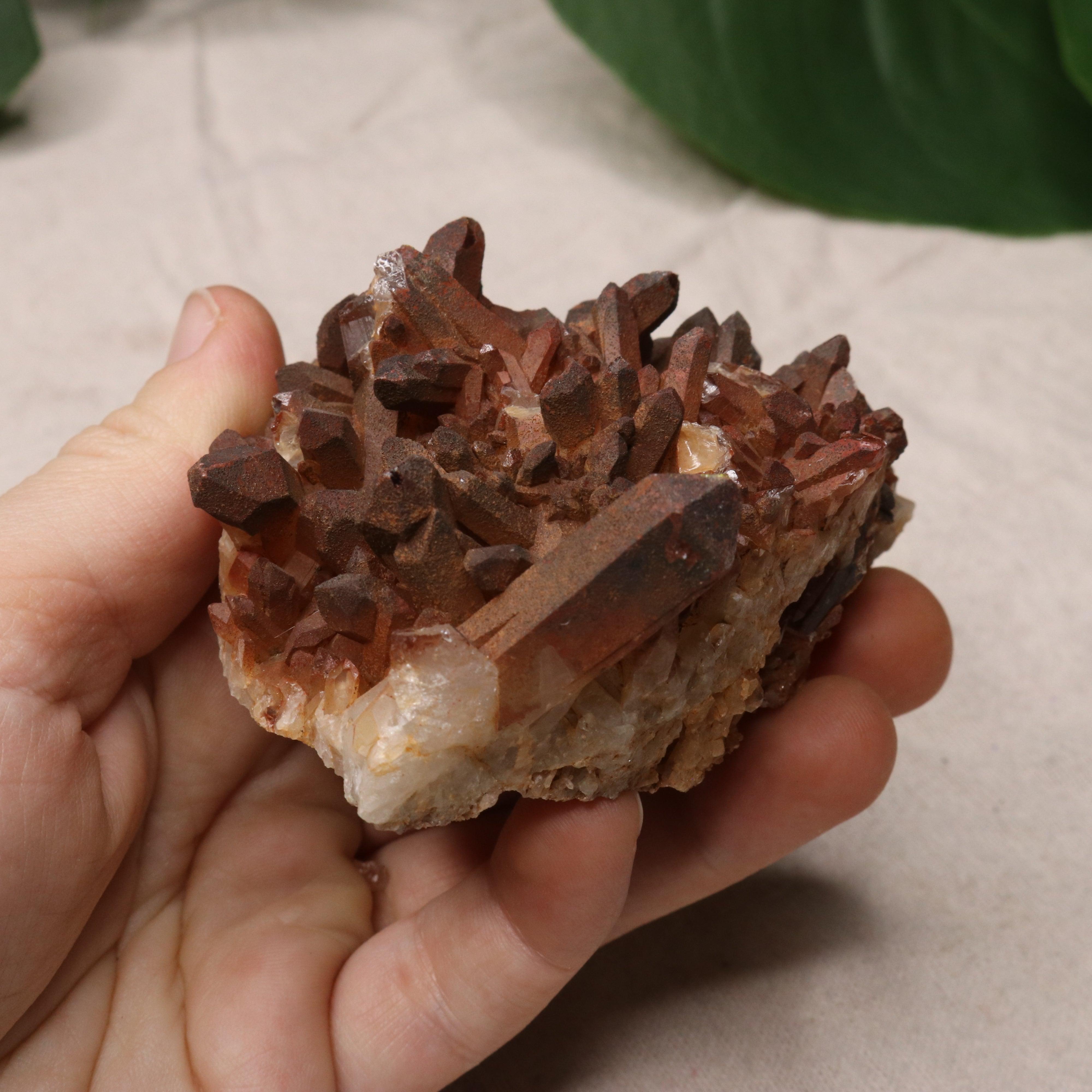 Gorgeous Specimen~ Hematoid Quartz Cluster from Madagascar~ Fire Quartz for Chakra Balancing - Earth Family Crystals