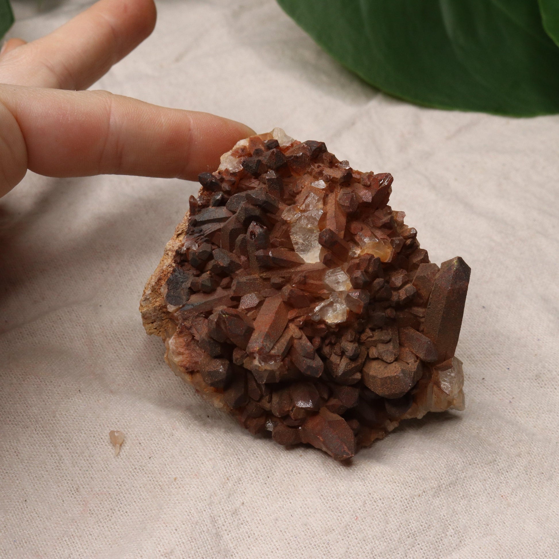 Gorgeous Specimen~ Hematoid Quartz Cluster from Madagascar~ Fire Quartz for Chakra Balancing - Earth Family Crystals