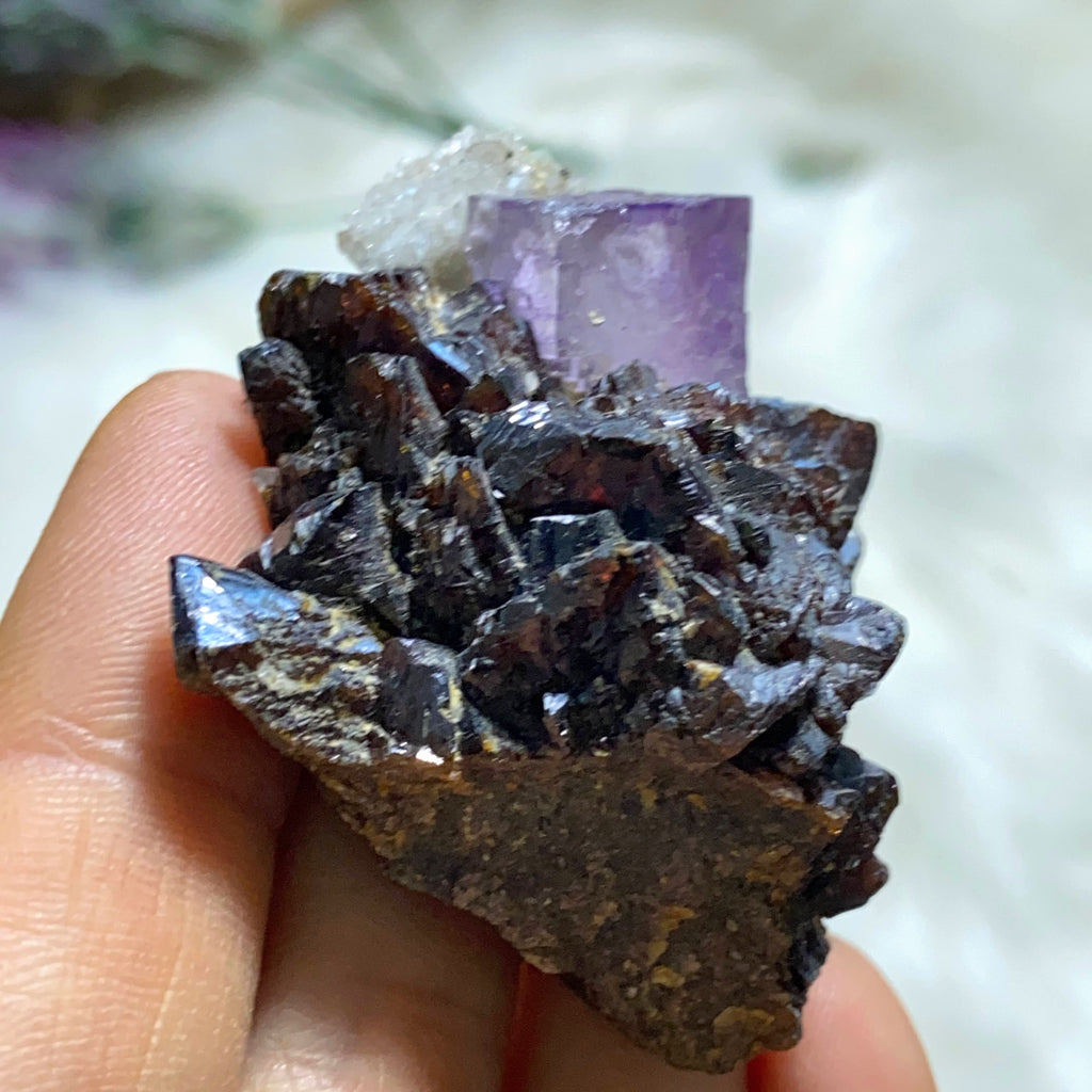 Reserved For Sandy Rare Elmwood Mine Burgundy Sphalerite & Cubic Purple Fluorite Specimen with Sparkling Quartz From Tennessee - Earth Family Crystals