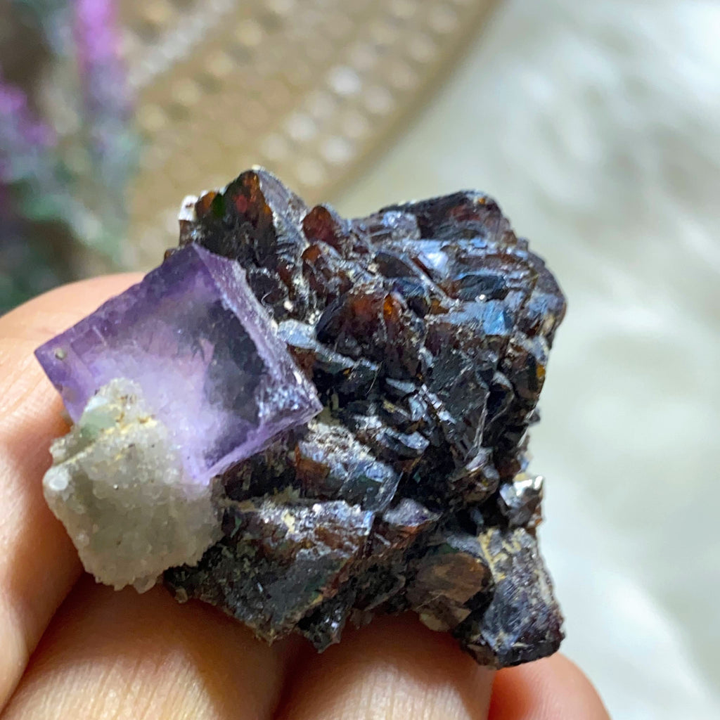 Reserved For Sandy Rare Elmwood Mine Burgundy Sphalerite & Cubic Purple Fluorite Specimen with Sparkling Quartz From Tennessee - Earth Family Crystals