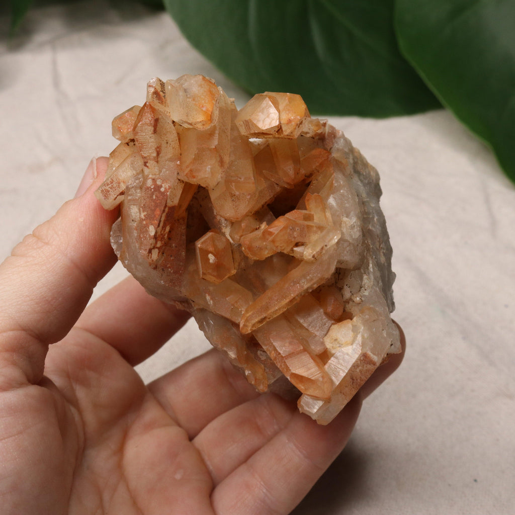 Beautiful Orange Hematoid Quartz Cluster from Madagascar~ Fire Quartz for Chakra Balancing - Earth Family Crystals