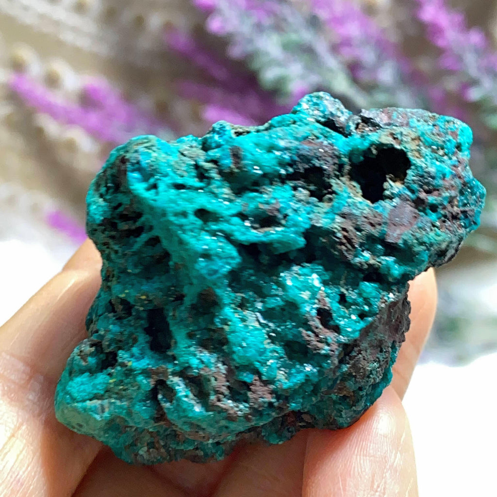 Rare & Gorgeous Dioptase Crystals Nestled in Matrix~ Locality: Arizona - Earth Family Crystals