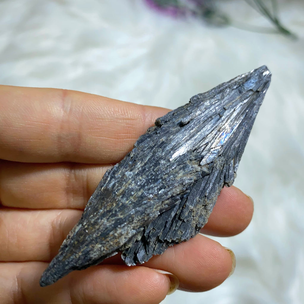 Natural  Black Kyanite Fan Specimen - Earth Family Crystals