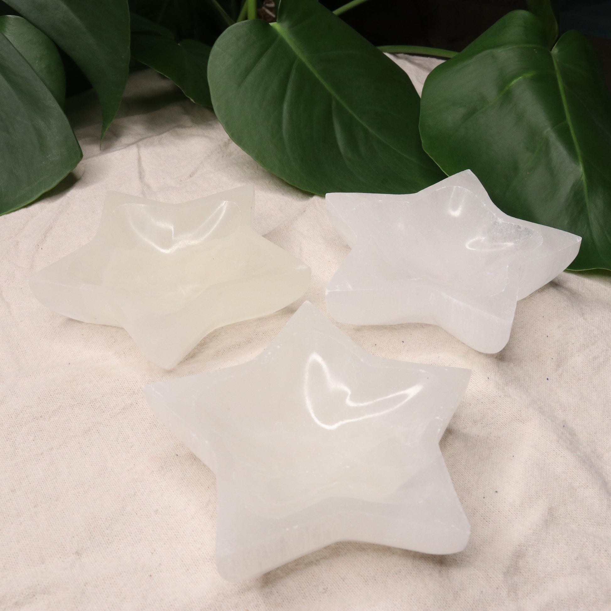 Selenite Star Bowl Carving ~ Recharge & Cleanse Gemstone Jewelry and Small Stones - Earth Family Crystals