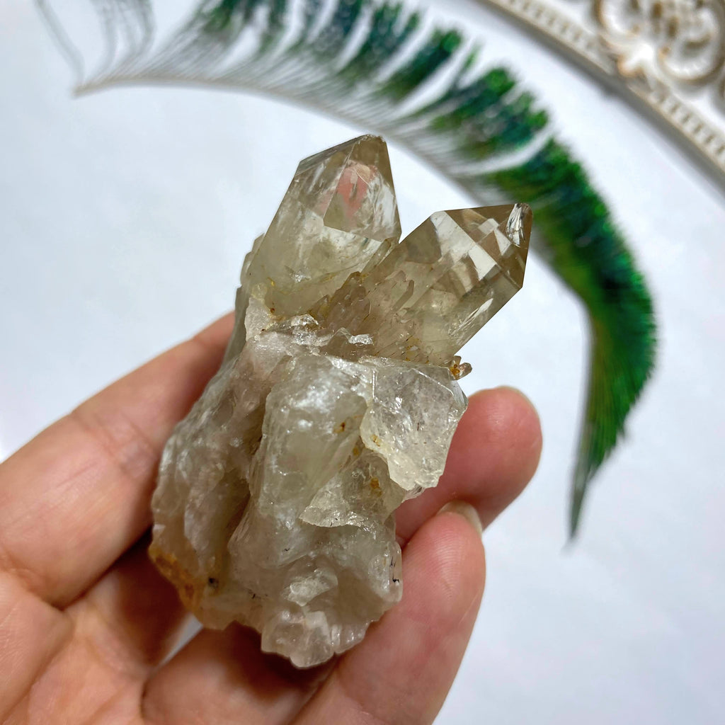 Unpolished & Natural Light Golden Citrine Elestial Kundalini Point - Locality: Congo - Earth Family Crystals