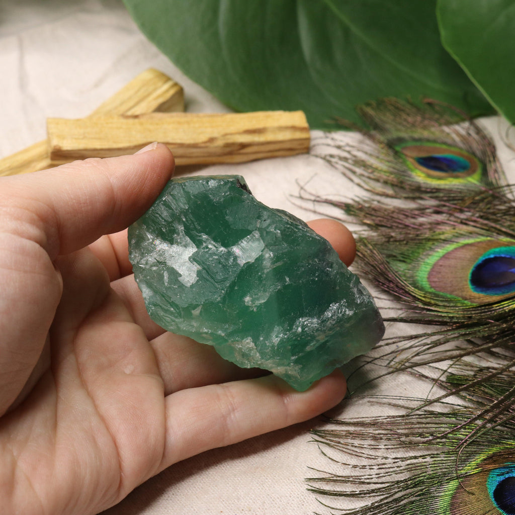 Chunky Top Grade Rough Rainbow Green Fluorite Specimen from Mexico - Earth Family Crystals