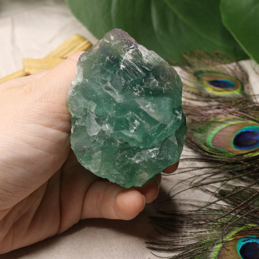 Chunky Top Grade Rough Rainbow Green Fluorite Specimen from Mexico - Earth Family Crystals