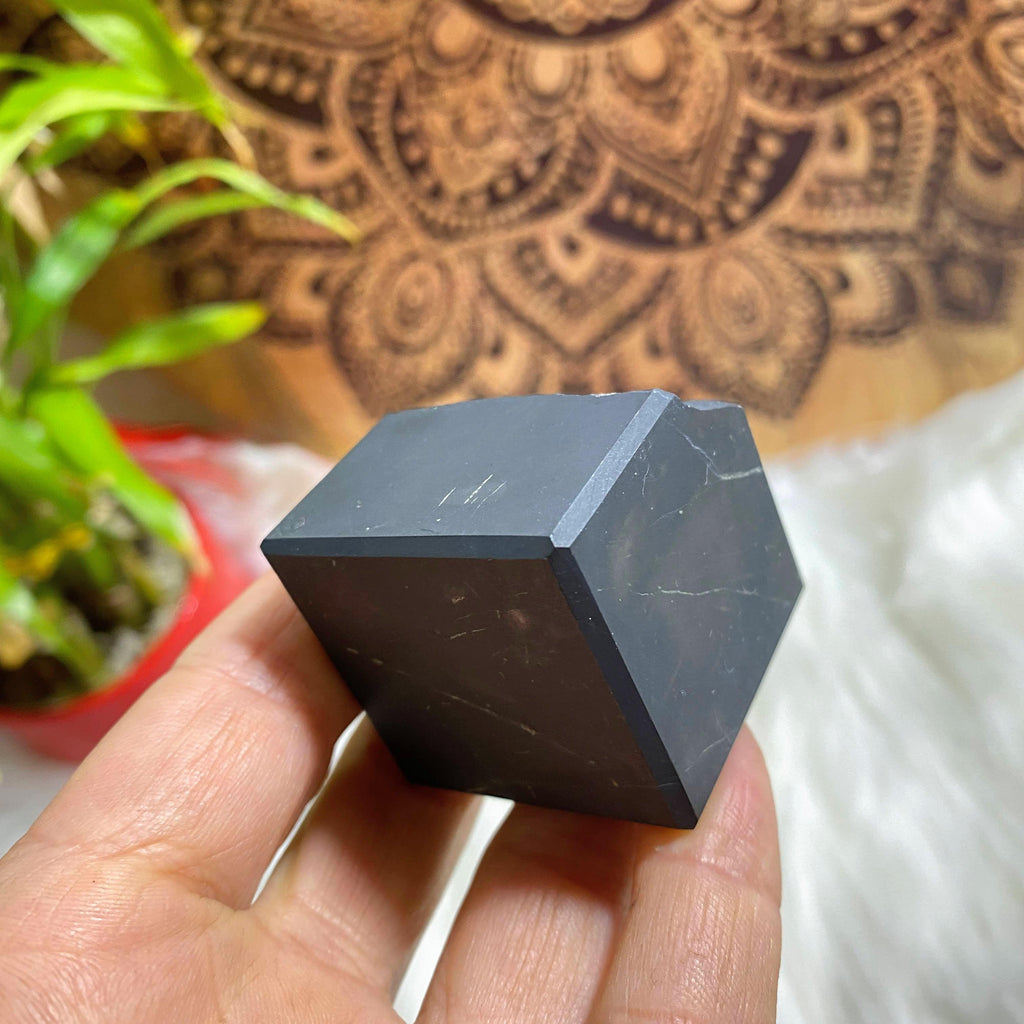 Shungite Unpolished Cube From Russia *REDUCED - Earth Family Crystals