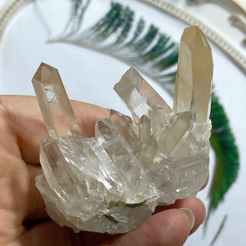 NEW FIND! Incredible Tangerine & Clear Quartz Cluster  From Zeca De Souza, Brazil - Earth Family Crystals