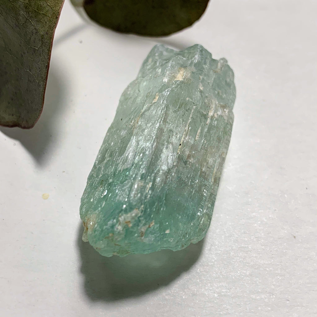 Gorgeous Gemmy Hiddenite (Green Kunzite) from Minas Gerais, Brazil #2 - Earth Family Crystals