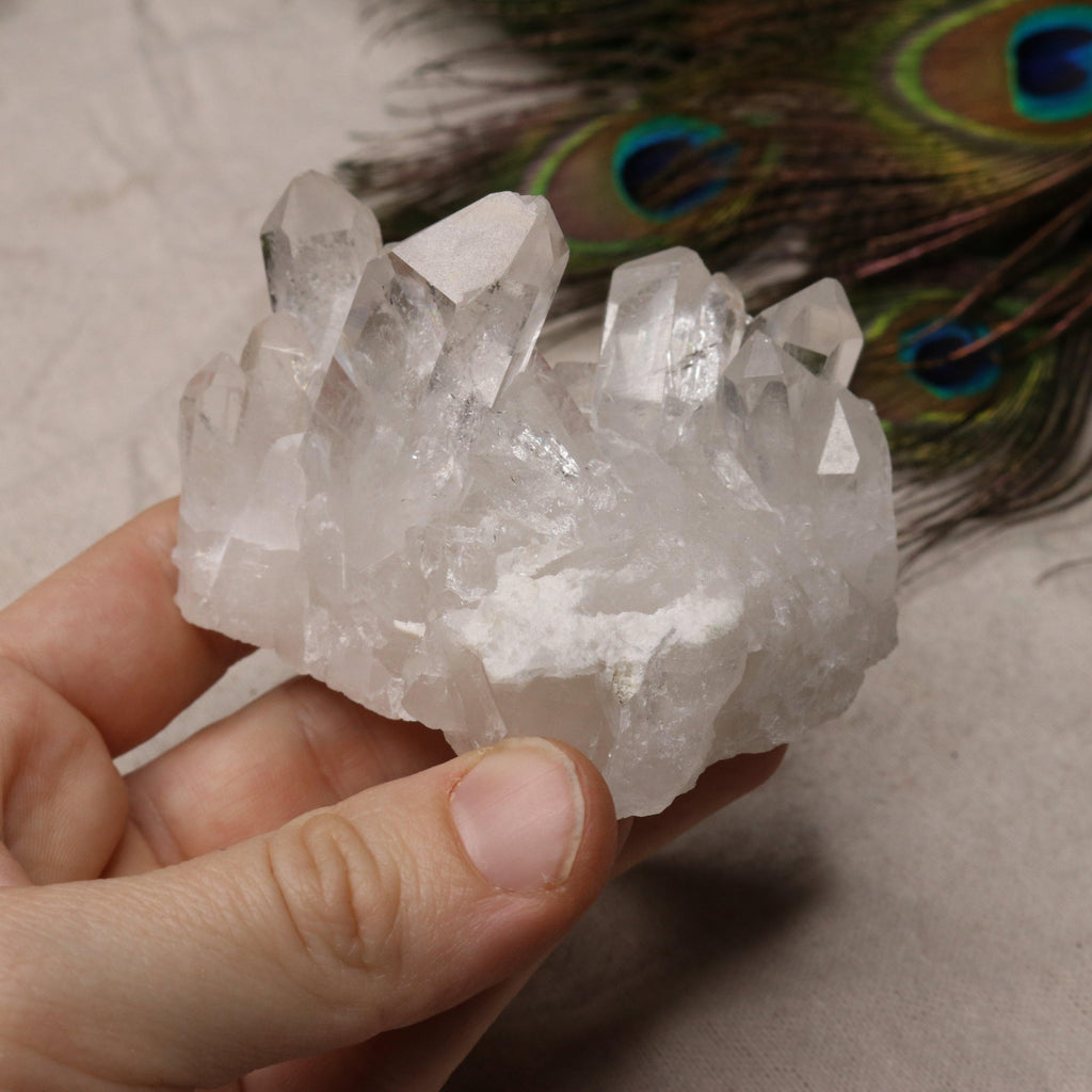Grade A Clear Quartz Cluster from Brazil~ Super Gemmy Small Display Specimen - Earth Family Crystals