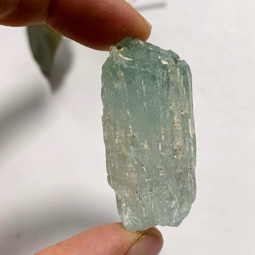 Gorgeous Gemmy Hiddenite (Green Kunzite) from Minas Gerais, Brazil #2 - Earth Family Crystals