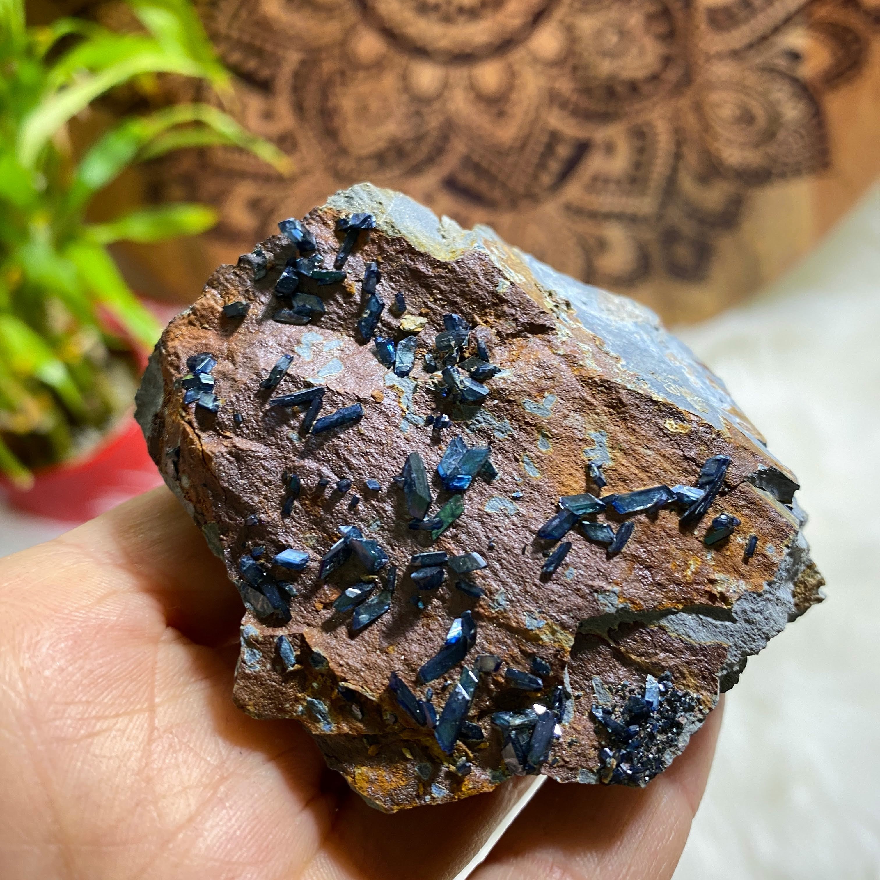 Rare Crystalline Vivianite on Matrix Collectors Specimen~Locality: Tomokoni, Bolivia - Earth Family Crystals