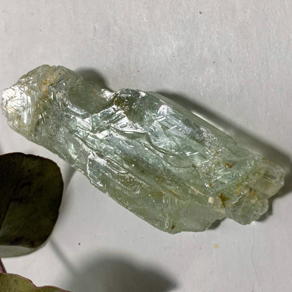 Gorgeous Gemmy Hiddenite (Green Kunzite) from Minas Gerais, Brazil #3 - Earth Family Crystals